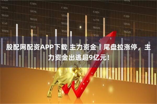 股配网配资APP下载 主力资金丨尾盘拉涨停，主力资金出逃超9亿元！
